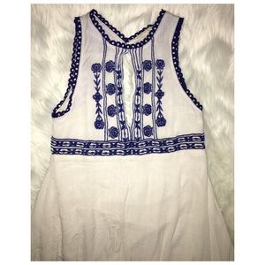 Hint of Mint Embroidered Skater Dress